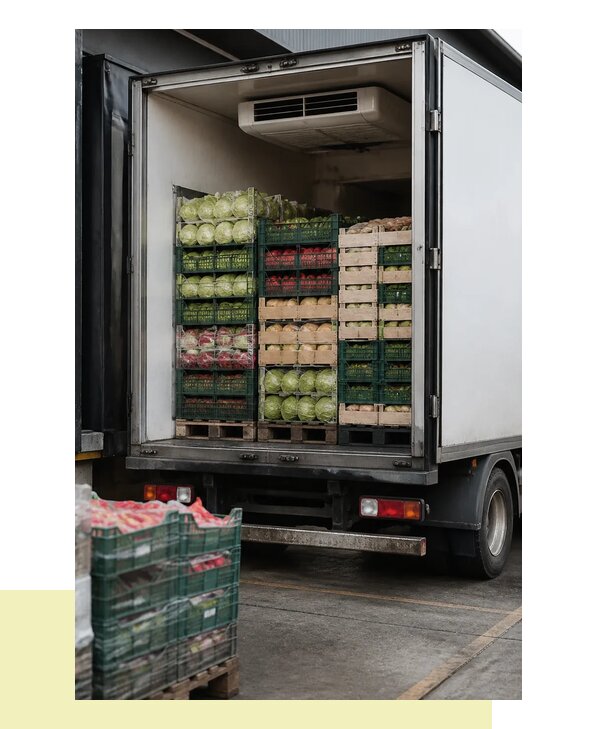 Перевозка плодоовощной продукции оптом напрямую в Ногинск