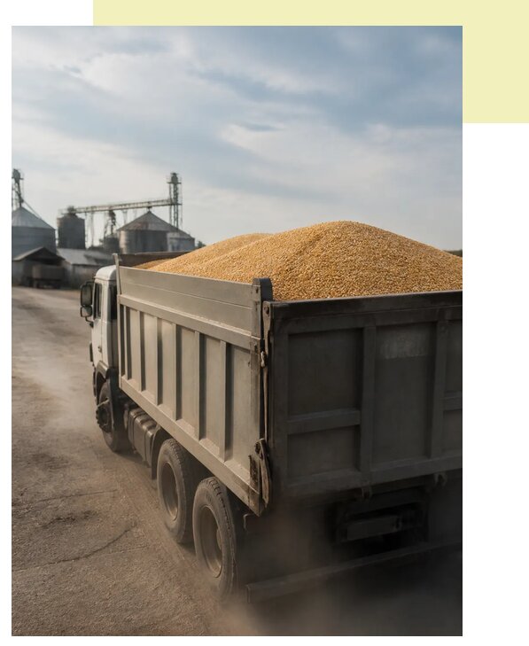 Перевозка сельхозпродукции навалом в Ногинск по цене от 3039 р. | Агросервис-Нгн